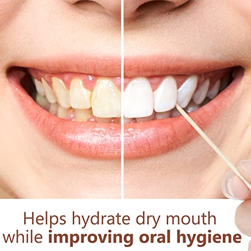 mumufy 400 pcs 4 boxes cinnamon toothpicks for adults cinnamon flavored toothpicks with clear plastic boxes 100 pcs for each box