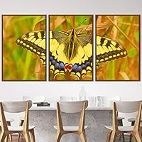 3 Piece Framed Canvas Wall Art Colorful Butterfly Insects Canvas Prints Home Artwork Decoration for Living Room,Bedroom - 16