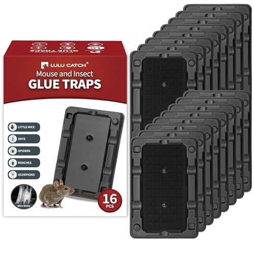 Image of LULUCATCH Mouse & Insect Traps 16 Pack, Heavier Sticky Traps with Non-Toxic Glue for Small Mice & Insects. Sticky Mouse Traps Indoor for Home, Easy to Set