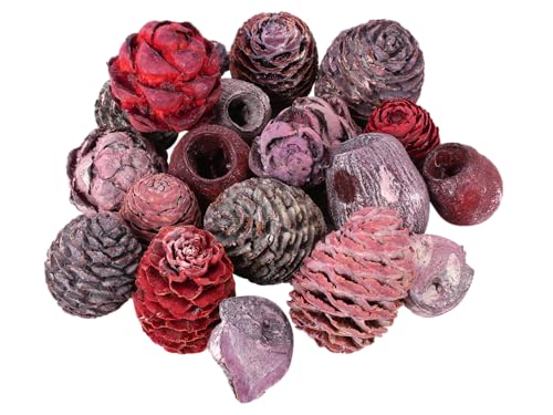 Exoten Sortiment Zapfen - Exoten Afrika - 1 Kg - Naturmaterialien für würdevolle Trauerfloristik & Dekoration (Lavendel/Frosted)