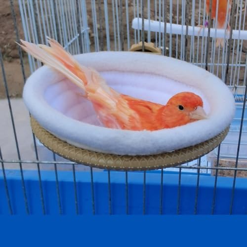 FOIBURELY Nido de pájaro canario pinzón loro conjunto con plástico y textil (4.5 pulgadas)