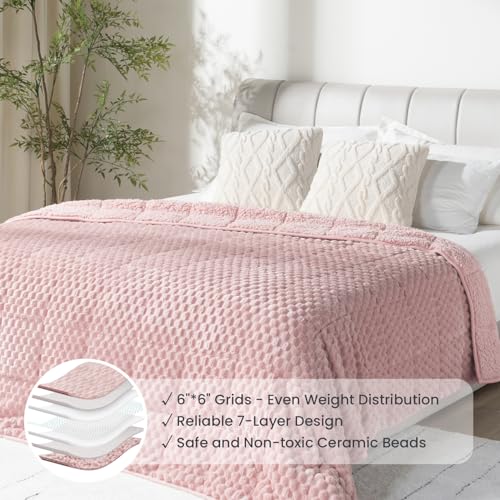 Image of Drewin Queen Size 20 lbs Weighted Blanket for Adults, Soft Fuzzy Jacquard Sherpa Weighted Blankets for Sleeping, Cozy Sofa Bed Blanket for Winter, Pink, 60 x 80 inches