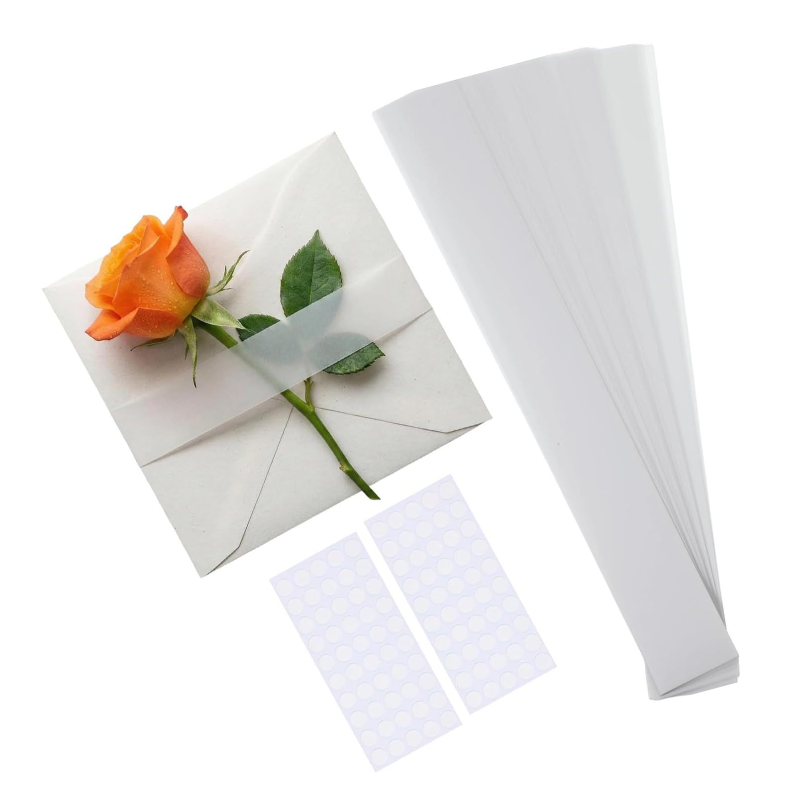 PANGBOER 100PCS Transparency Invitation Belts Perfect for Greeting Cards Paper Belly Bands Perfect for Wedding Stationery Envelope Belly Bands