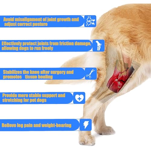 Image of Dog Knee Brace for ACL with Side Stabilizers,Splint Hinged Adjustable Support Brace for Knee Cap Dislocation, Arthritis Keeps Joint,Hip Brace of Different Sizes for Cruciate Ligament Injuries(S)