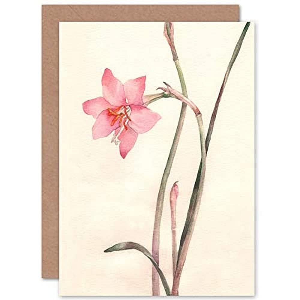 Wee Blue Coo Flower Zephyranthes Watercolour Greeting Card With Envelope Inside Premium Quality
