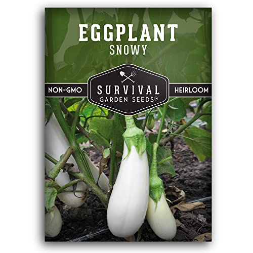 Survival Garden Seeds Snowy Eggplant Seed for Planting - Packet with Instructions to Grow White Eggplant (Aubergine) in Your Home Vegetable Garden - Non-GMO Heirloom
