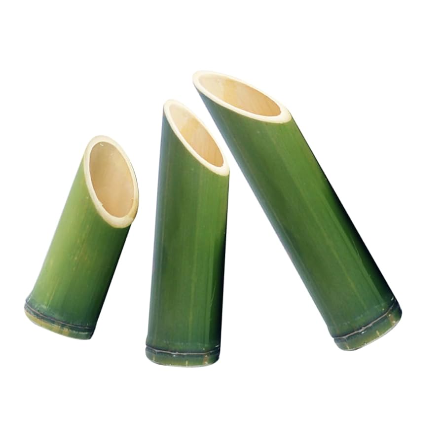 Amazon.co.jp: WRITWAA 3個 竹 花瓶 小 竹 プランター 竹 花