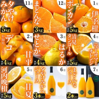 (発送月固定定期便)「こたつの上の冬物語」驚異の全14種類!!(H49-75)全9回