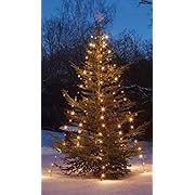 hellum Светлинки за коледна елха на открито, 220...