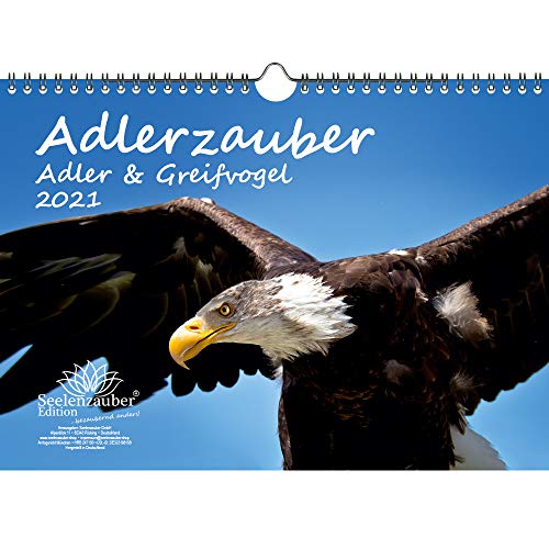Télécharger Calendrier Aigle & Greifvögel format A4 pour 2021 – Coffret cadeau Contenu : 1 calendrier, 1 cart livre En ligne