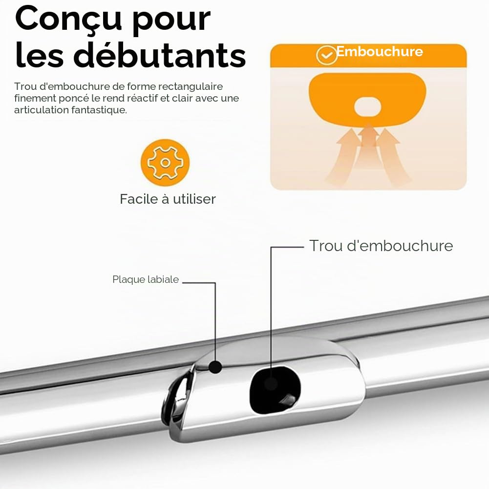Flûte traversière professionnelle avec 16 trous ouverts - Tonalité C - Instrument de musique de concert - Avec boîte de chiffon de nettoyage -