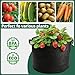COKIELE 5 Pack 5 Gallon Grow Bags, Thickened Aeration Nonwoven Fabric Plant Pots with Handles, Heavy Duty 300G Garden Planting Bag for Tomato, Potato, Strawberry, Vegetable, Fruits and Flowers