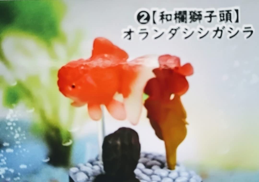 未開封 金魚立体図鑑 全8種 フィギュア まとめ売り Amazon | 金魚立体図鑑 全8種類 リアルフィギュア カプセルトイ