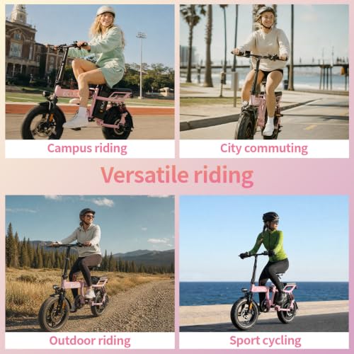DDC SPORT Folding Electric Bike