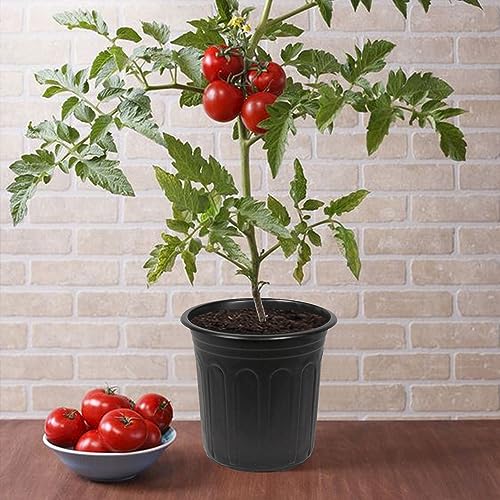 Niiiice 60 pacotes de vasos de plástico flexível de 1 galão para berçário com 10 etiquetas de planta