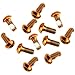 BONMW 12PCS Tornillos de los Pernos del Rotor del Freno de Bicicleta de Montaña M5 * 10 mm Tornillos de Disco de Freno de Acero Inoxidable Tornillos fijos para Reparación de Bicicletas DIY (Orange)