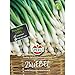 83682 Sperli Premium Lauchzwiebel Samen Freddy | Mild | Würzig | Aromatisch | Lauchzwiebel Saatgut | Lauch Samen