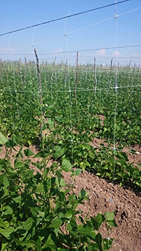 Rete Rampicante Per Orto - Supporto Per Pomodori, Cetrioli E Piante Da Giardino