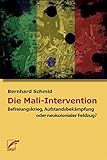 Die Mali-Intervention: Befreiungskrieg, Aufstandsbekämpfung oder neokolonialer Feldzug? - Bernhard Schmid 