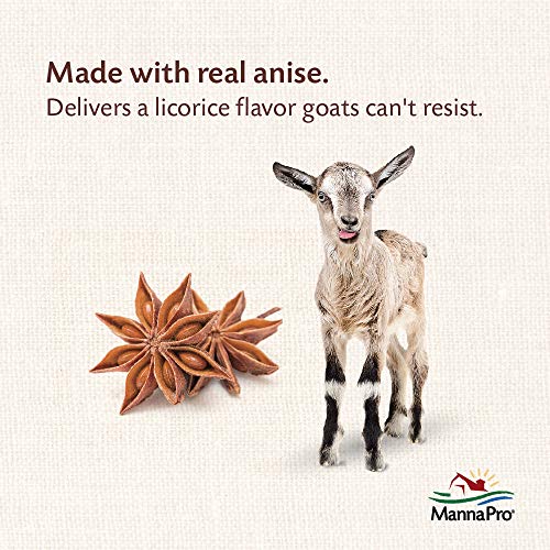 Manna-Pro-Goat-Treats