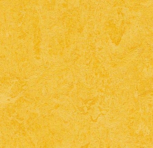 Marmoleum Click CinchLoc - Lemon Zest Squares