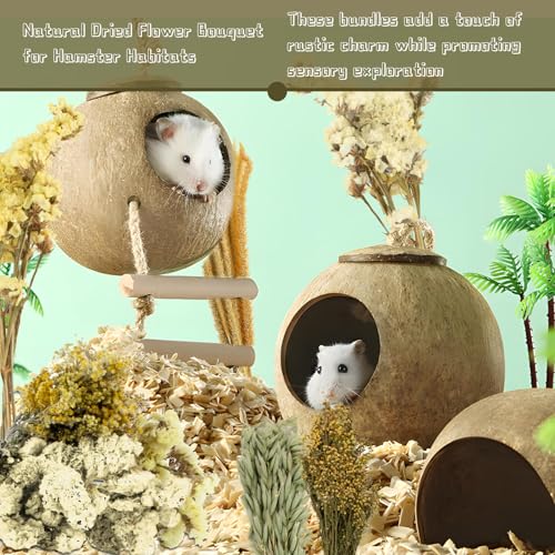 Image of Sukh 47pcs Hamster Sprays - Natural Flower Herb Bedding Forage Mix for Cage