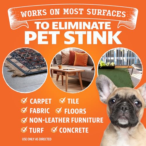 Image of Angry Orange Pet Odor Eliminator for Dog and Cat Urine, Carpet Stains, and Strong Smells - Orange Rush Scent Cleaner - 1 Gallon