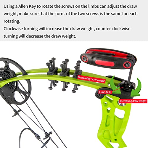 AKCHOER Compound Bow and Arrow Kit Youth Bow and Arrow Set, 15-45 Lbs Draw Weight, 18\"-29\" Draw Length, Right Handed Bow for Beginner, 320 Fps Hunting & Target Bow with All Accessories (Green)