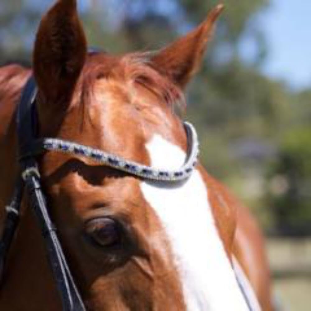 Blue Crystal browband