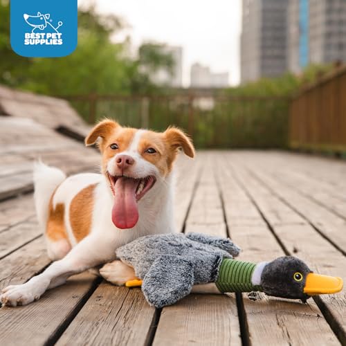 Image of Best Pet Supplies Interactive Squeaky Dog Chew Toy, Ideal Dog Toys for Chewers, Small, Medium & Large Dogs, and Fetch Lovers - Mallard Duck Wing (Gray), Small