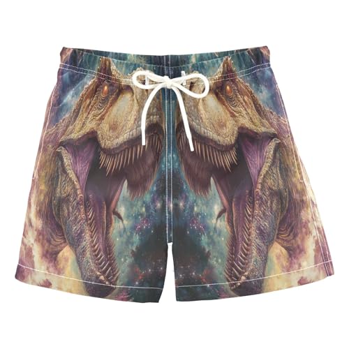 Jucciaco Boys Beach Board Shorts T-rex Dinosaur Galaxy Cool Quick Dry Swim Trunk Swimwear for Kids