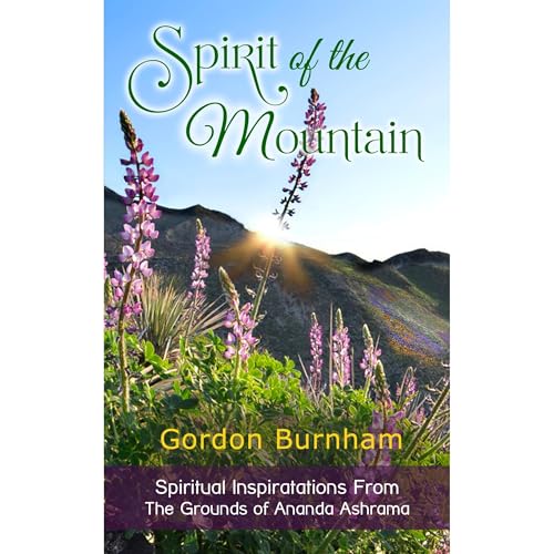 Spirit of the Mountain : Gordon Burnham episode artwork