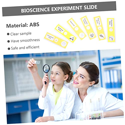 CHILDWEET 12pcs Glass Slide Microscope Slides Abs Specimens Sample Biological Specimen Child Plant Suite 9 51DgXiX4q2L