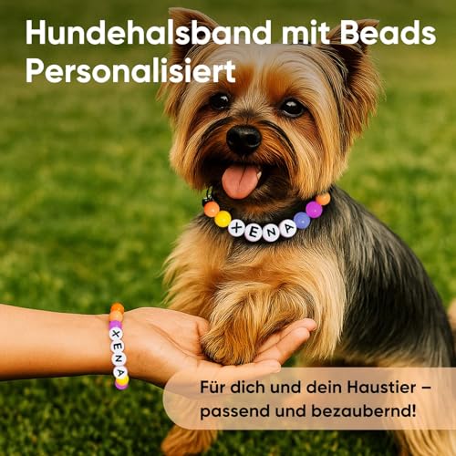 Hundehalsband Personalisiert mit Namen, Niedliches Hundehalsband Perlen für Hunde und Katzen, Dekorative Hundehalskette für Den Hundegeburtstag, Kostenlose passende Freundschaft Armband Hund Kragen