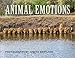 Animal Emotions