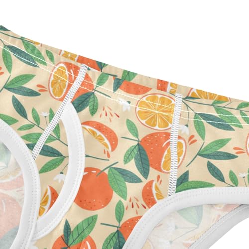 Boys' Exclusive Briefs Toddler Underwear 95% Combed Cotton Boxerbriefs 2T Orange Slices and Leaf Pattern 184