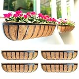 Maxona Hanging Planter