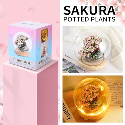 Construcción, Watch Imagen adicional