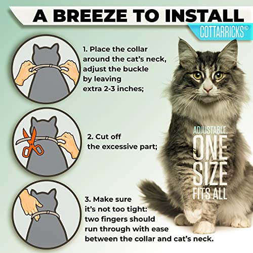 Cottarricks Flea And Tick Prevention For Cats - Flea Collar thumb #5