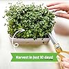 Back to the Roots Organic Microgreens Grow Kit with Ceramic Planter, Expandable Soil, Organic Seeds, and Germination Lid #2