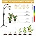 Plant Grow Light with Stand, Full Spectrum 60W LED Floor Plant Lamp for Indoor Plants Growing,Height Adjustable Plant Lamp Timer 3/9/12H