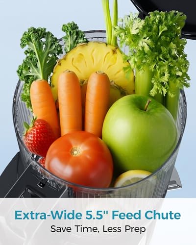 Image of EUHOMY Cold Press Juicer, Silver | 5.5 inch Extra Large Feed Chute, Slow Masticating, 250W, 99.6% High Juice Yield, Reverse Function