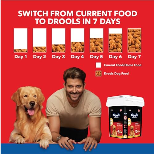 Image of Drools Adult Dry Dog Food Inside Container 5kg | Chicken and Egg Flavour | Omega 3 & 6 for Healthy Growth | Better Digestibility & Health | Maintains Joint Health | Helps Control Tartar Buildup