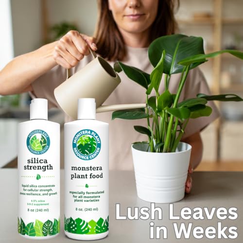 Monstera Growth Power-Duo Bundle – Silica Strength + Plant Food miniatura 2