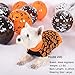 KYEESE Halloween Dog Sweater with Leash Hole Cute Pumpkin Turtleneck Puppy Warm Soft Orange Knitwear for Cat Dogs boy Cozy Puppy Sweater for Small Dogs Girl Comfortable Snug Dog Clothes, Small
