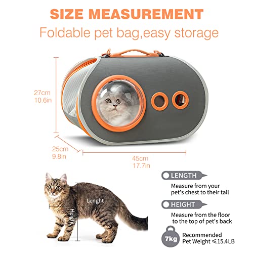 PETCUTE Transportbox Hund,Transportbox Katze,Atmungsaktive Transporttasche für Katze Hund,Haustiere Tragetasche mit Verstellbarer Schultergurt,Abnehmbare Matte,Hundetasche für Katzen und Hunde - Image 7