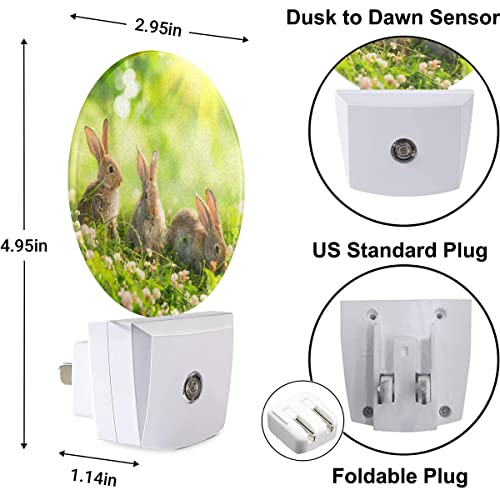 Image of Easter Bunny Nightlight Cute Rabbits in Meadow Plug-in Nightlight Energy Saving 0.5W LED Lighting for Boys Girls Men Women Gift