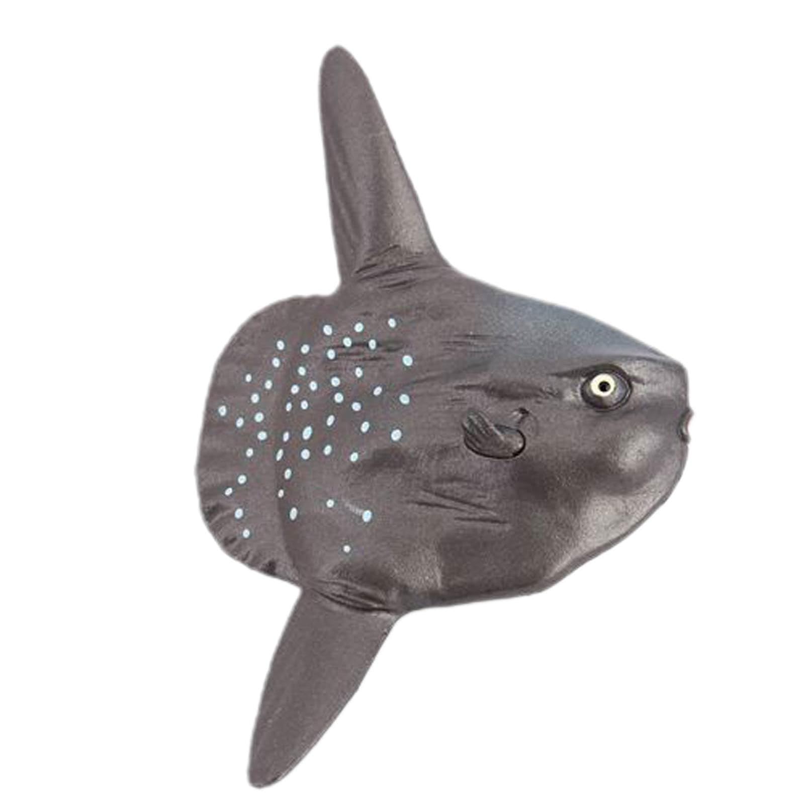 STOBOK 12 pz pesci tropicali figura gioco set mini mare oceano animali plastica vivida simulazione pesci giocattoli per bambini apprendimento giocattoli educativi bomboniere paesaggio decorazioni
