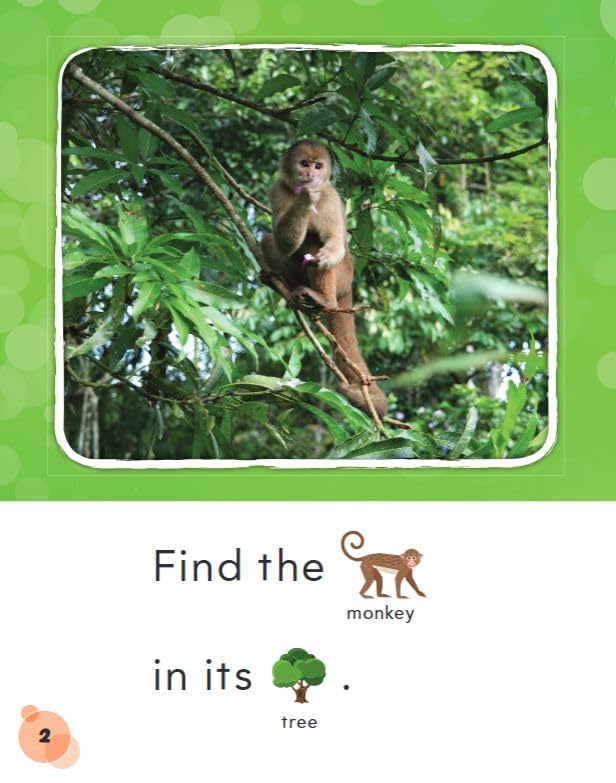 Zoo Map - Phonics Book for Beginning Readers, Teaches High-Frequency Sight Words (See Me Read! Everyday Words) - Image 3