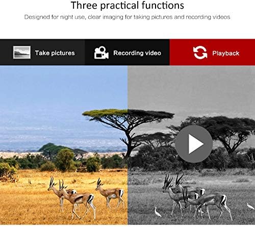 Miniatura 7 de 7X31 Infared Digital Caza Visión Nocturna Binoculares 2.0 LCD Militar Día y Noche Gafas Telescopio para Caza